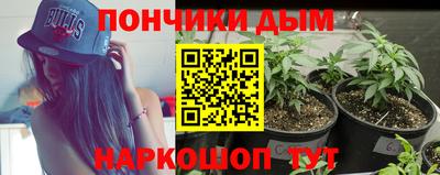 2c-b Заводоуковск