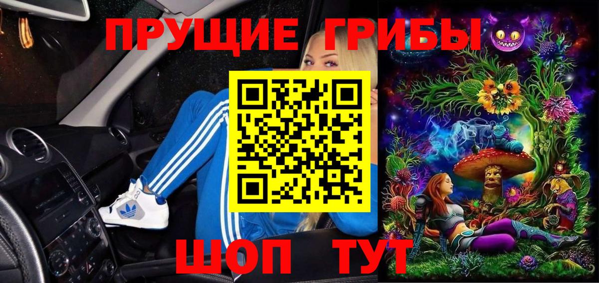 Михайловка  Галлюциногенные грибы мухоморы  Вход с VPN 