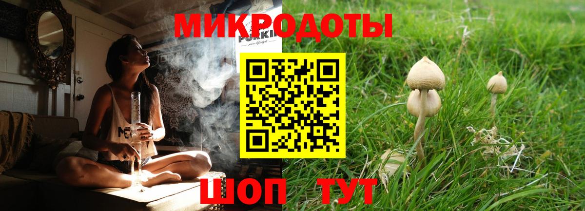 Псилоцибиновые грибы прущие грибы Михайловка