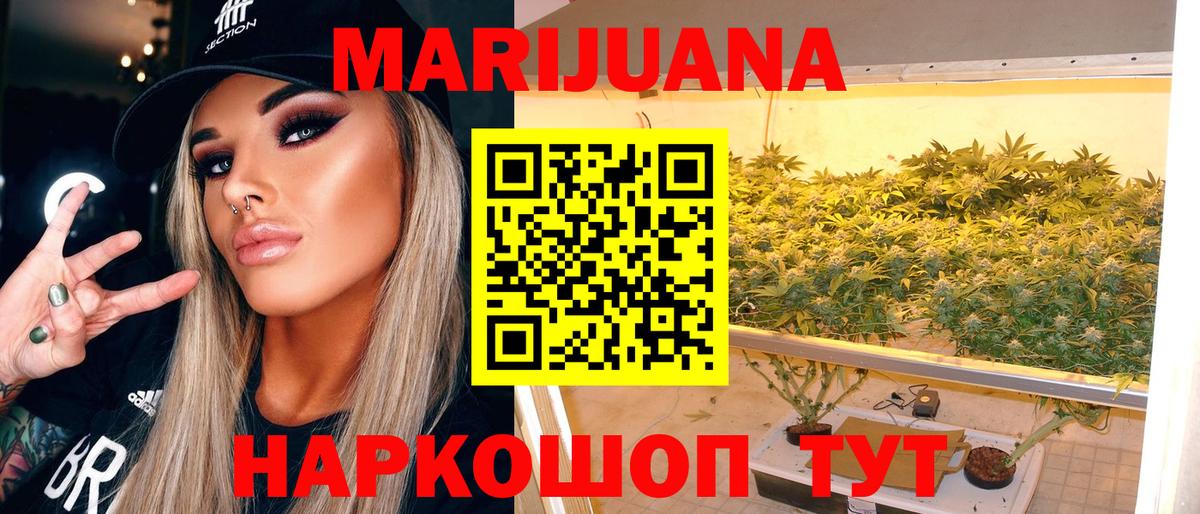 Конопля марихуана Михайловка